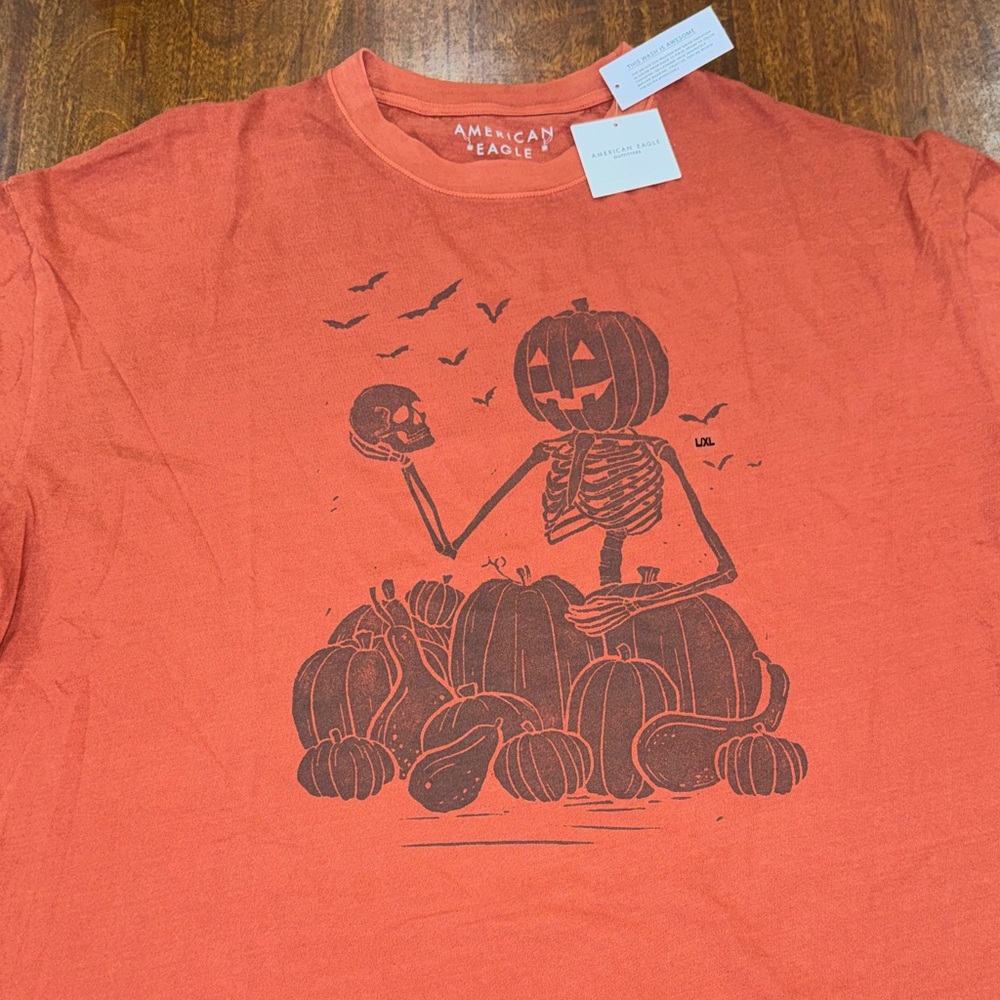 NWT American Eagle Rustic Pumpkin Patch Graphic T… - image 3